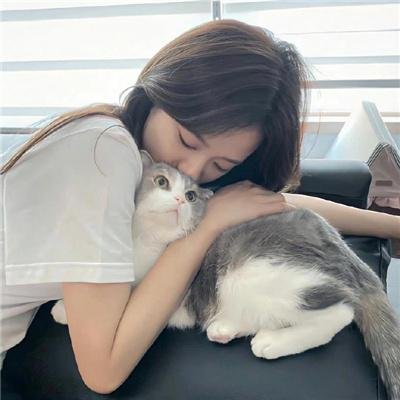 画舫风云粤语